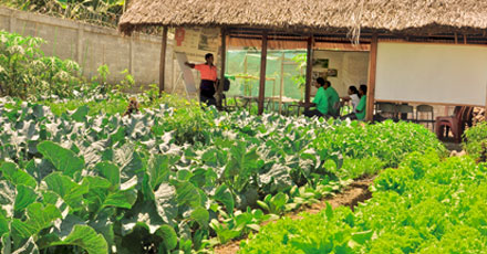 Training and garden facility